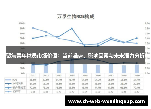 聚焦青年球员市场价值:当前趋势、影响因素与未来潜力分析 聚焦青年球员市场价值:当前趋势、影响因素与未来潜力分析