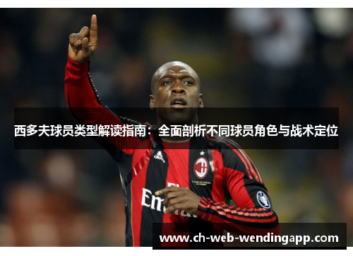 西多夫球员类型解读指南：全面剖析不同球员角色与战术定位