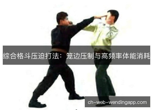综合格斗压迫打法:笼边压制与高频率体能消耗 综合格斗压迫打法:笼边压制与高频率体能消耗